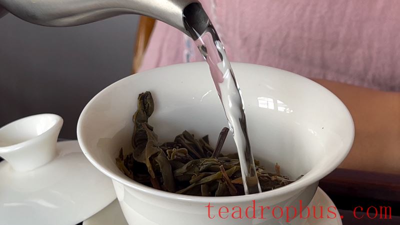 Tasting Pu'er Tea for Best Flavor-1