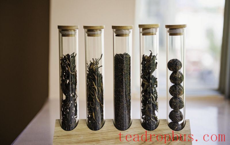 The Allure of Time in Yunnan Large-Leaf White Tea-2