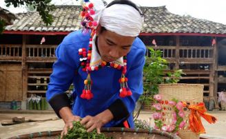 Ancient Deang Fermented Tea-4