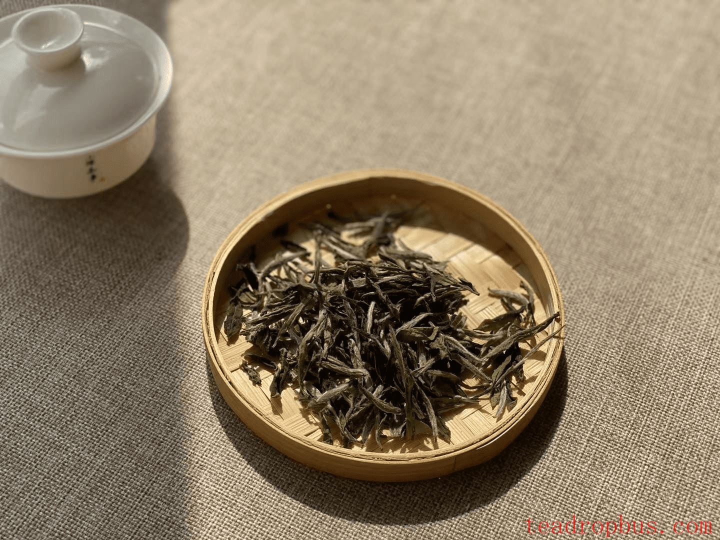 Infusing or Boiling? The Optimal Brewing Method for Aged White Tea-3