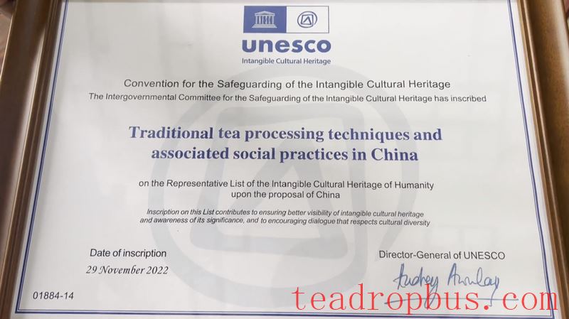 Puer Ning'er: Empowering Tea Culture Inheritance and Development with Intangible Cultural Heritage Techniques-5