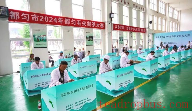 Duyun: Seizing the Core, Protecting and Inheriting the Skills for Producing Duyun Maojian Tea-5