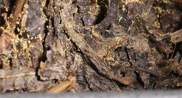Just Three Steps for the Perfect Taste of Dark Tea-1