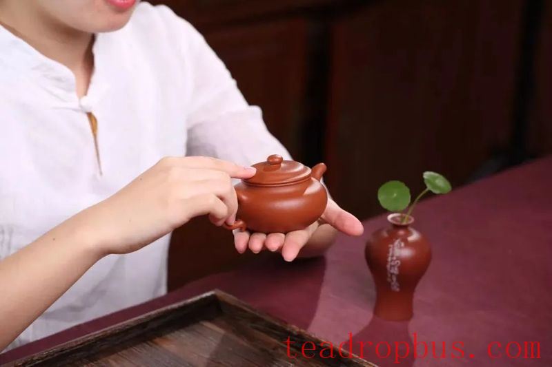 Puer Tea and Purple Clay Pottery Pairing Formula-8