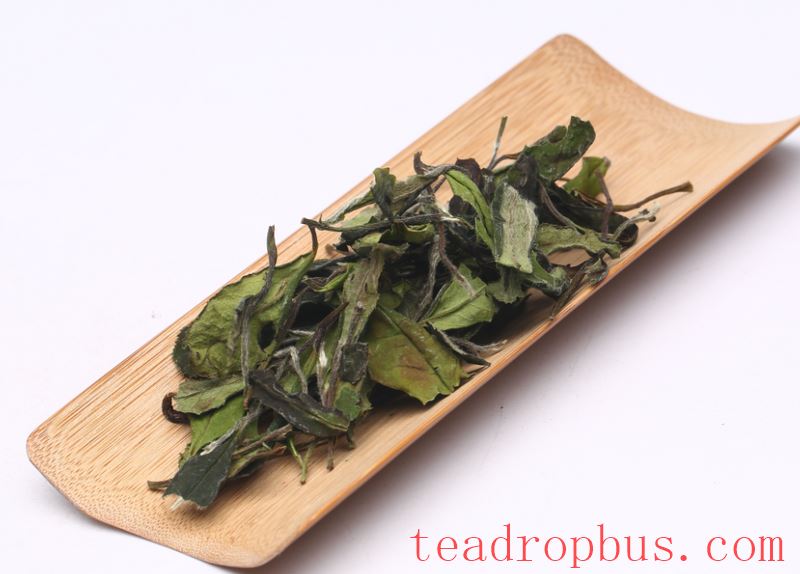 Why Start Drinking White Tea with Shoumei?-1