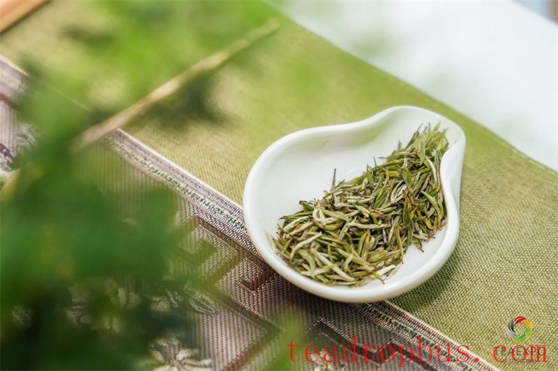 How to Brew Tea for the Best Flavor? Master These 4 Key Tips and Become a Tea Brewing Expert!-1