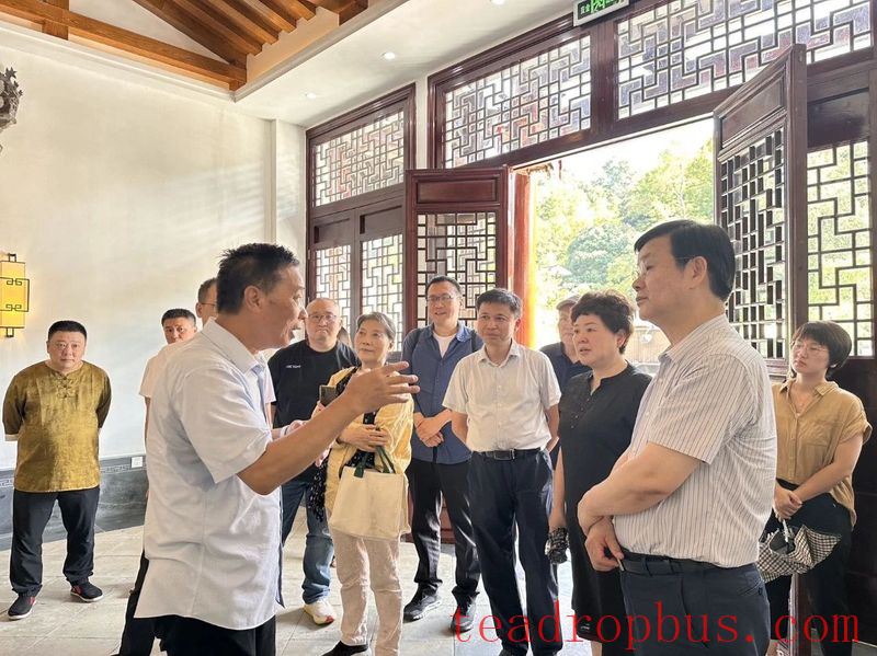 Meeting Over Tea, Plotting Development —— Shanghai Tea Industry Association Delegation Visits Wuyuan to Investigate the Tea Industry-1