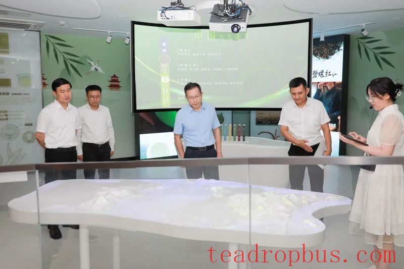 Ding Lixin Conducts Special Research on the Revitalization of the Dongting Mountain Biluochun Tea Industry-1