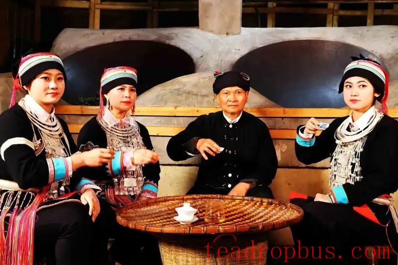 Tea Charm of Malipo Series (Part 1): Malipo Tea – Standing Proud Through Quality and Trust-7
