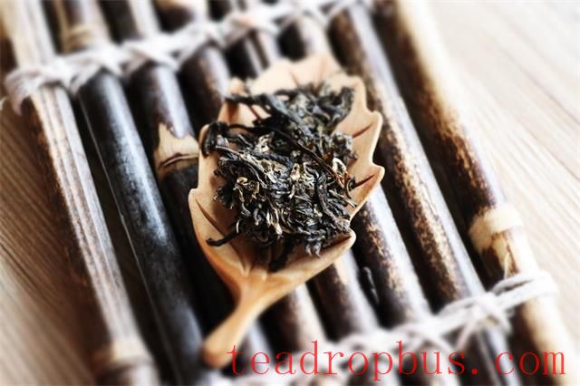 Tea and the Rhythm of Life: Unveiling the Essence of Existence in Aroma-2