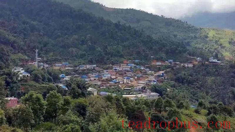 Naka, the Renowned Tea Mountain of Xishuangbanna Pu'er: Mengsong Naka-1