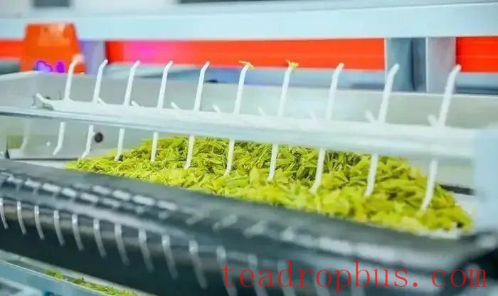 Research Status of Digital Processing in Tea-1