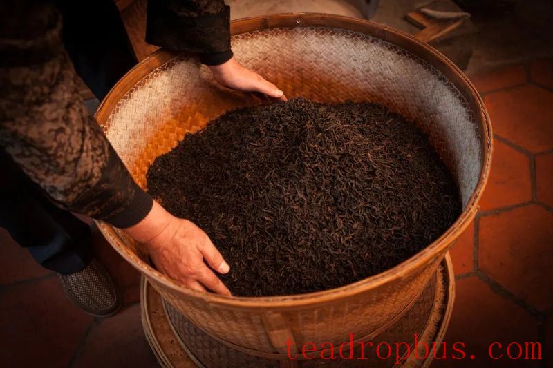National Intangible Cultural Heritage: Wuyi Rock Tea (Da Hongpao) Manufacturing Technique-7