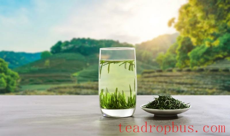 Tea Tips: Summer Tea Recommendations Are Here!-3