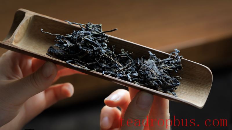Why Do 90% of Pu'er Tea Enthusiasts Store Yiwu Tea?-8