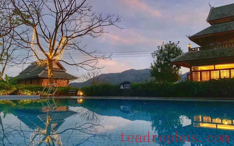 Come to Yunnan, and Experience the Unique Charm of Tea-10