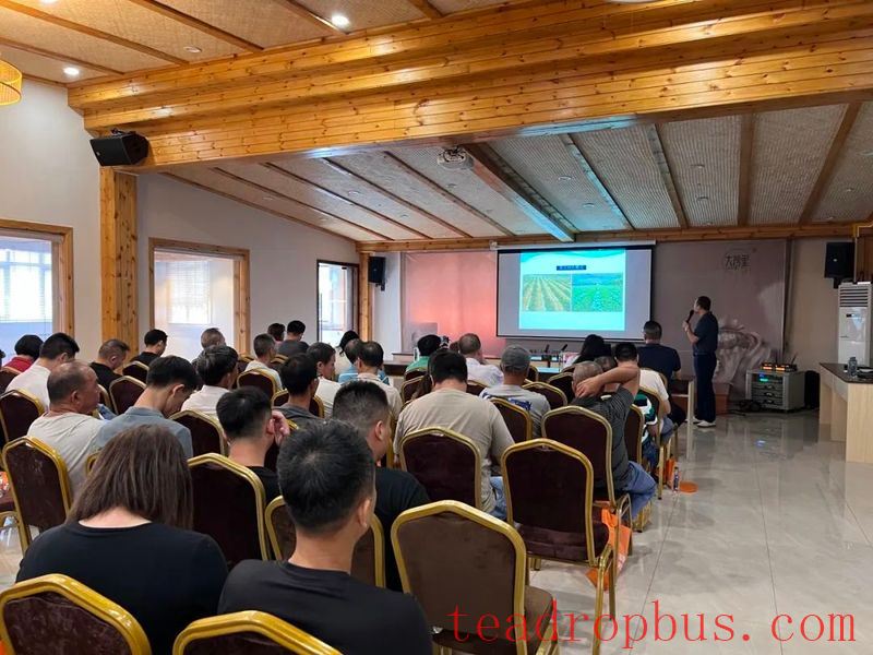 Kaiping Agricultural Skills Lecture —— Tea Garden Planning and Planting Management-2