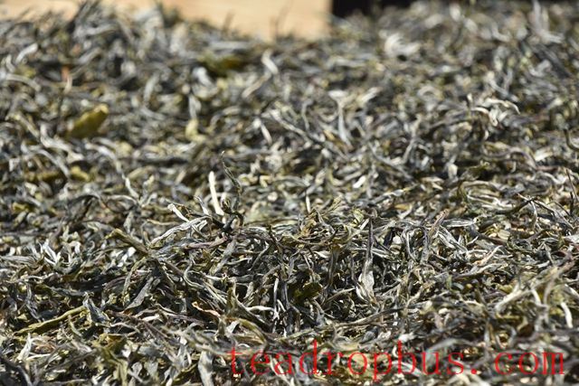 How to Brew Mansong Tribute Tea-1