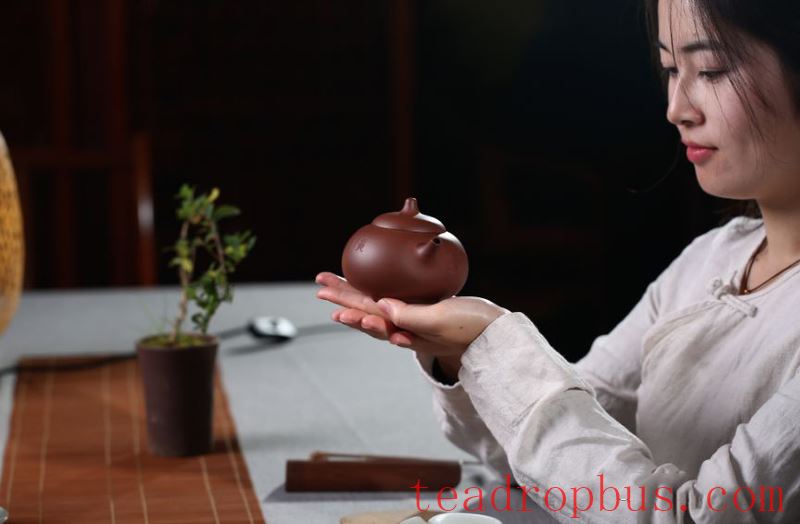 What Kind of Purple Clay Teapots Do Tea Aficionados Prefer?-5