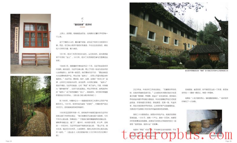 Ties with TanYang: The Legend of a Tea and a Village-6