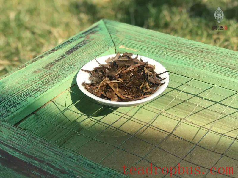 From Youth to Old Age, the Fluctuations of Time in the Aroma of Tea-3