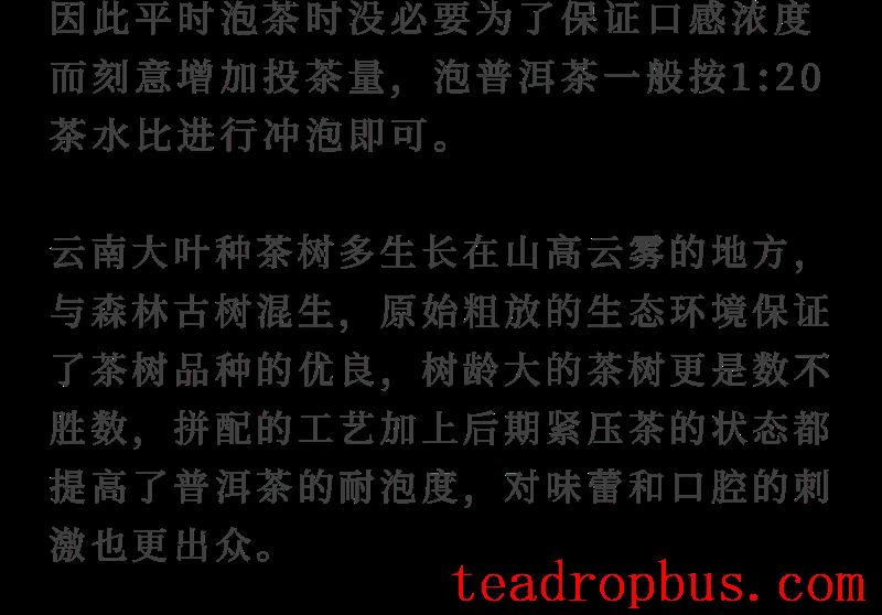 How to Drink Tea for Better Health in Spring? Drinking tea in spring is better than a good prescription.-32