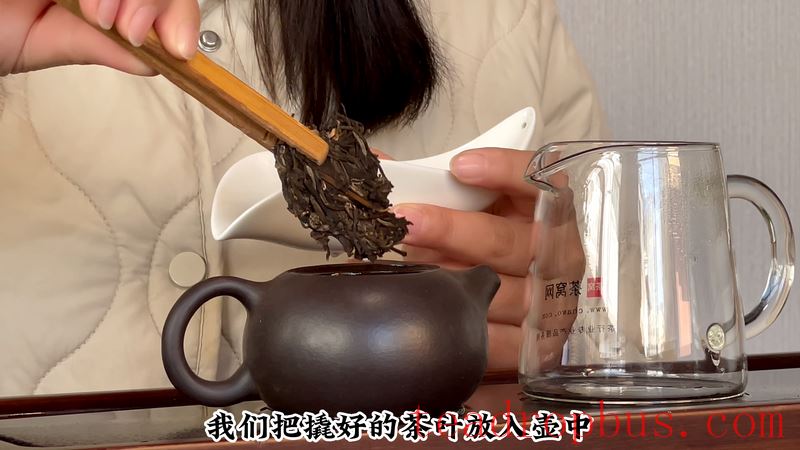 How to Brew Jingmai Mountain Pu'er Tea for a Great Taste?-8