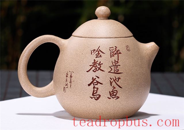 The Beauty of Purple Clay (Zisha) Segment Mud Patina: How Much Can It Transform?-1