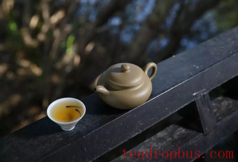 Puer Tea and Purple Clay Pottery Pairing Formula-1