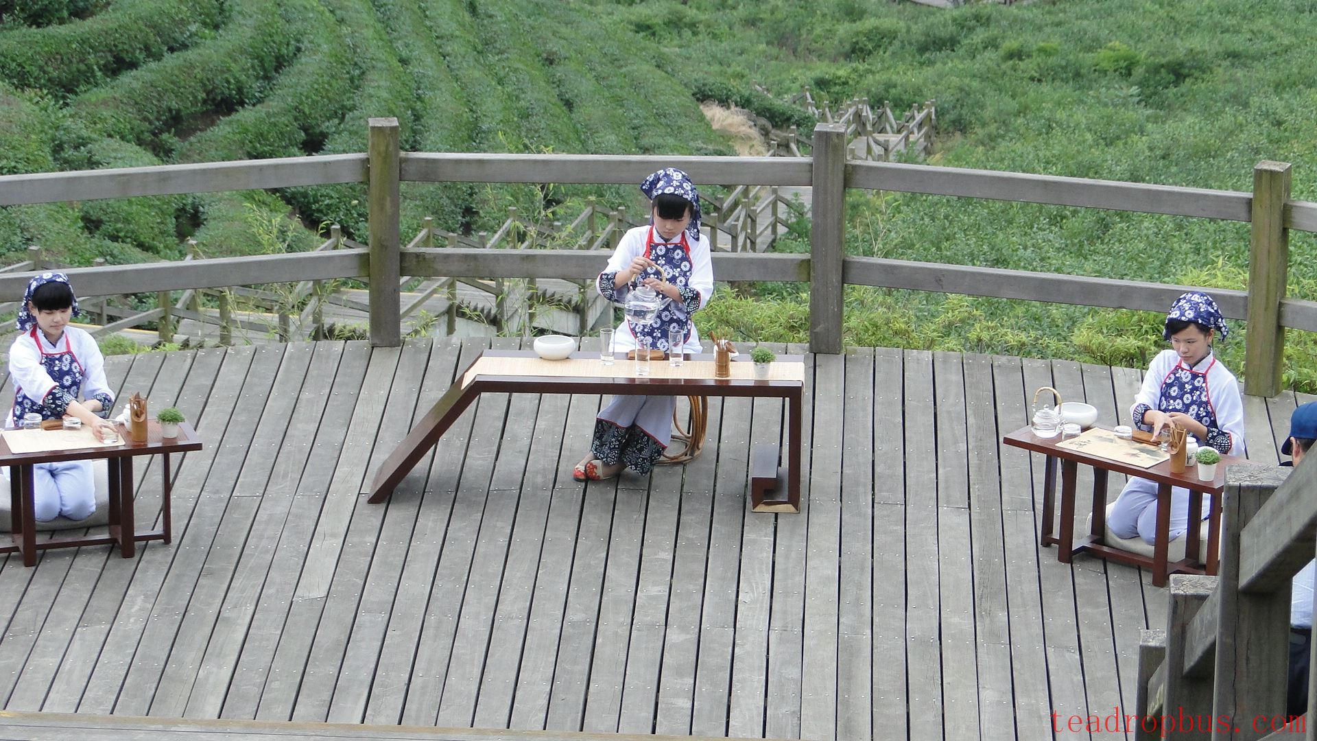 Anxi Tieguanyin Tea-4