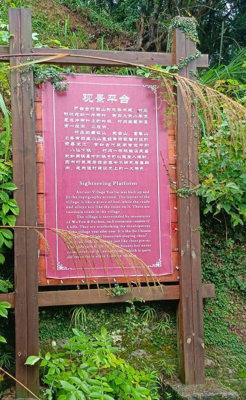 Chayou YanTai: A Hidden Gem for a Thousand Years-4