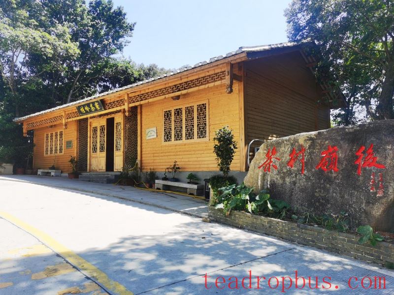 Linghou Village, Zherong County: Party Building Leads the Integration of Tea and Tourism, Cultivating Strengths for the Revitalization of the Tea Village-3