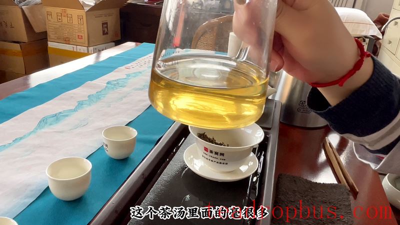 How to Drink Ban Zhang Tea: Brewing Method for Ban Zhang Large Tree Tea-9