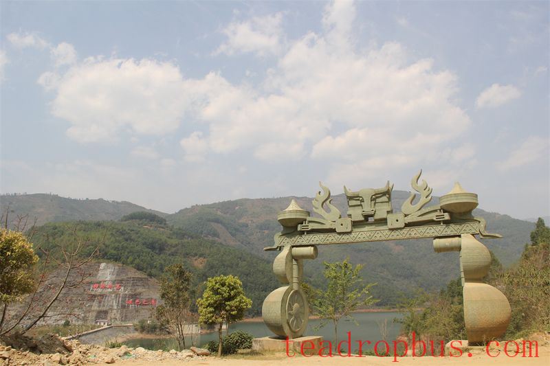 Mengku's Eighteen Villages and the Five Rings of Bingdao: People and Tea Thriving Due to Top-Ranked Villages-3
