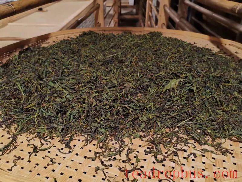 National Intangible Cultural Heritage: Wuyi Rock Tea (Da Hongpao) Manufacturing Technique-5