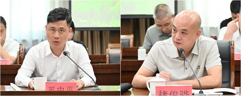 Bearing the Dreams of More Than 30,000 Tea Farmers: The County Chief and CPPCC Members Discuss the Tea Economy of Tiantai!-4