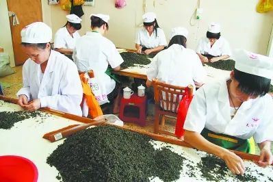 Baiya Qilan (White Bud and Orchid) Tea Roasting Technology-2