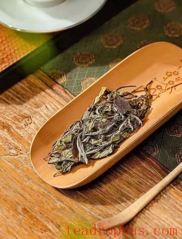 Ancient Perceptions of Fujian Tea: Frugality, Beauty, Harmony, and Reverence – Refreshing Joys of the Human Realm-12