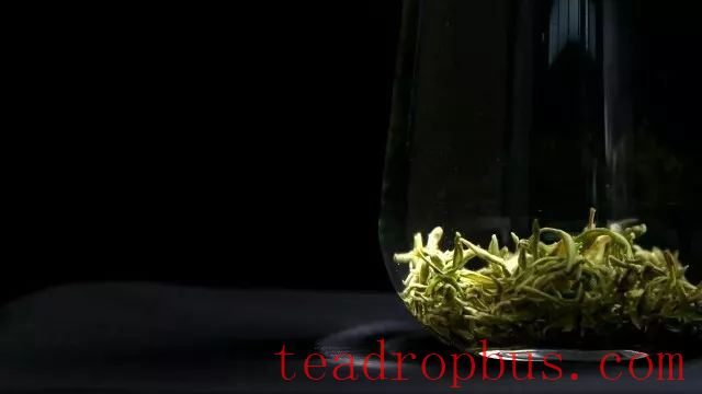 The Awakening of Spring and Tea: An Elegant Gathering Full of Spring's Vitality-1