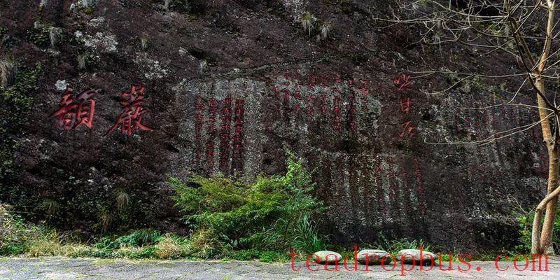 The Sacred Land of Tea: Mount Wuyi-3