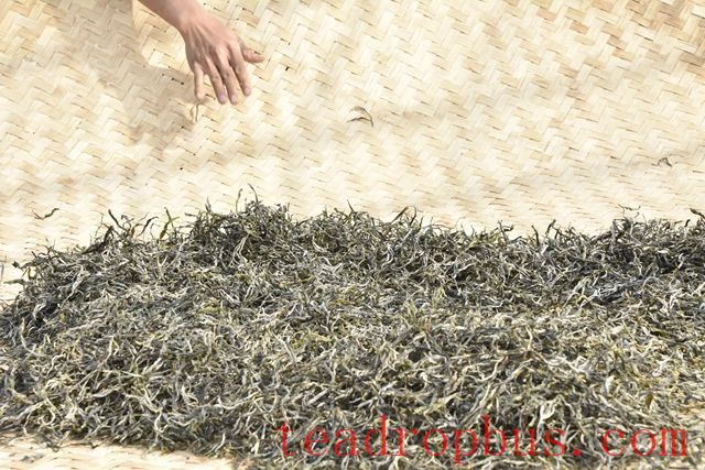 Kill-green Process: The Difference Between Heat-based and Steam-based Kill-green Methods-3