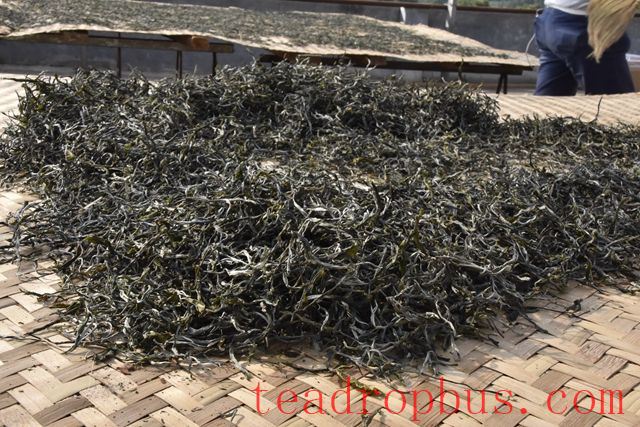 The Origin of Xigui Tea-3