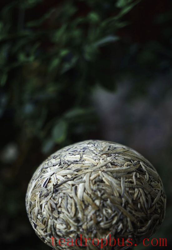 A Discussion on the Withering and Drying Processes of White Tea-2