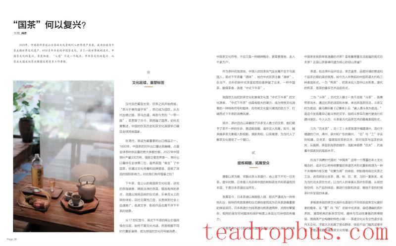 Jingmai Chronicles: Step into the World's First Tea-Themed World Heritage Site-7
