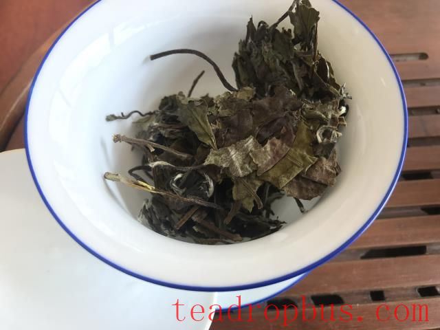 The Journey of White Tea's Essence: Savoring the Unique Charm of Each Infusion-2