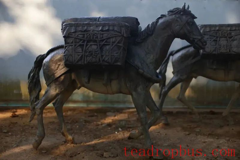 The Ancient Tea Town of Yiwu, Granted the Title 