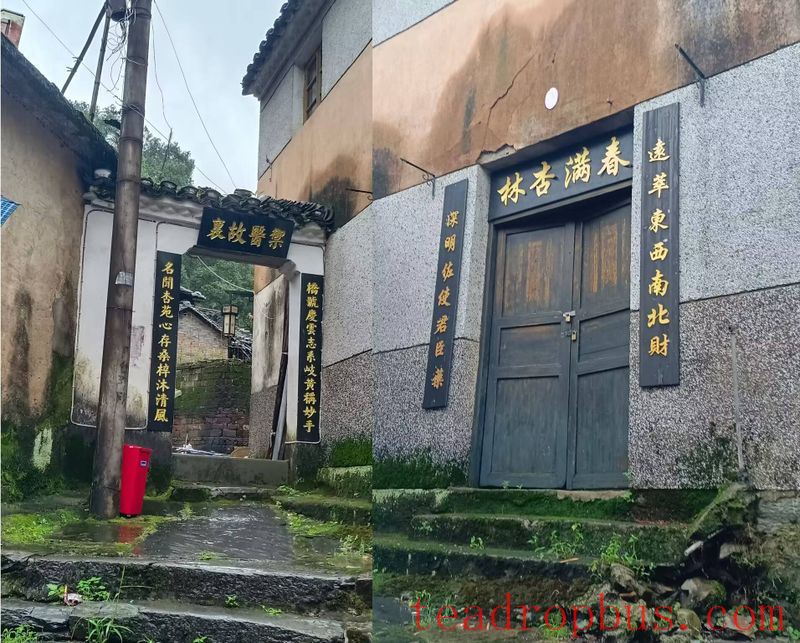 Chayou YanTai: A Hidden Gem for a Thousand Years-5
