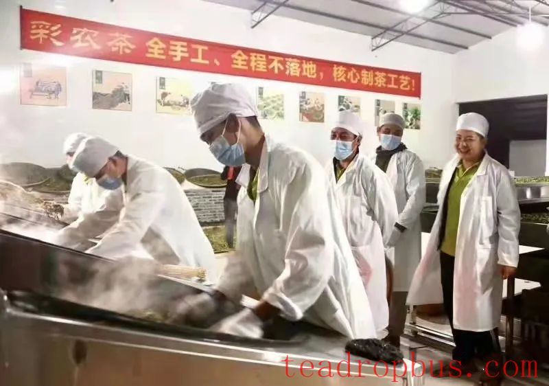 Cainong Tea: Ancient Methods? Traditional Methods? New Methods?-1