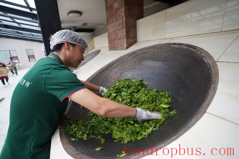 Puer Tea: Handmade vs. Mechanized-1