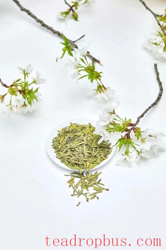 A Cup of Longjing Tea, Sipping the Verdant South!-6